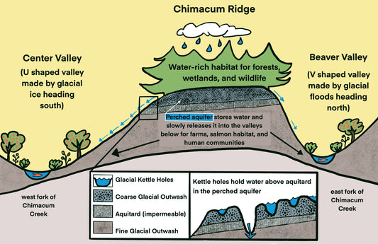 Chimacum Ridge Geology