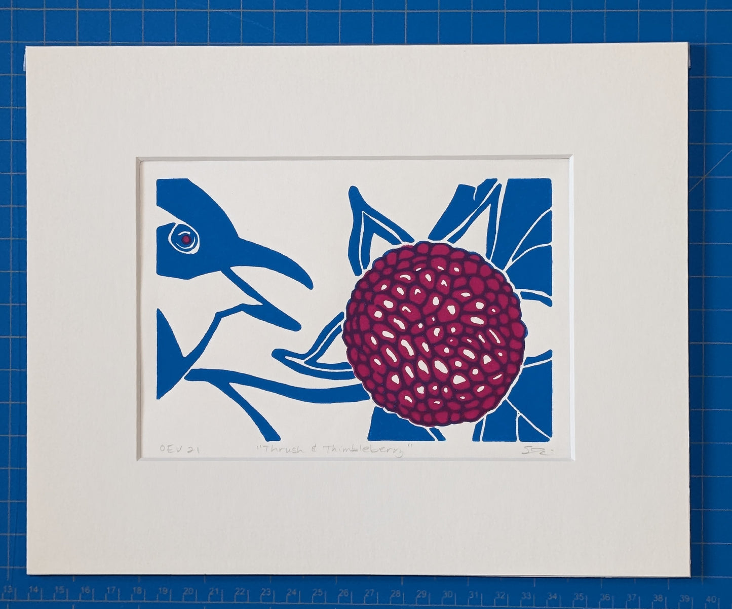 THRUSH AND THIMBLEBERRY handmade print