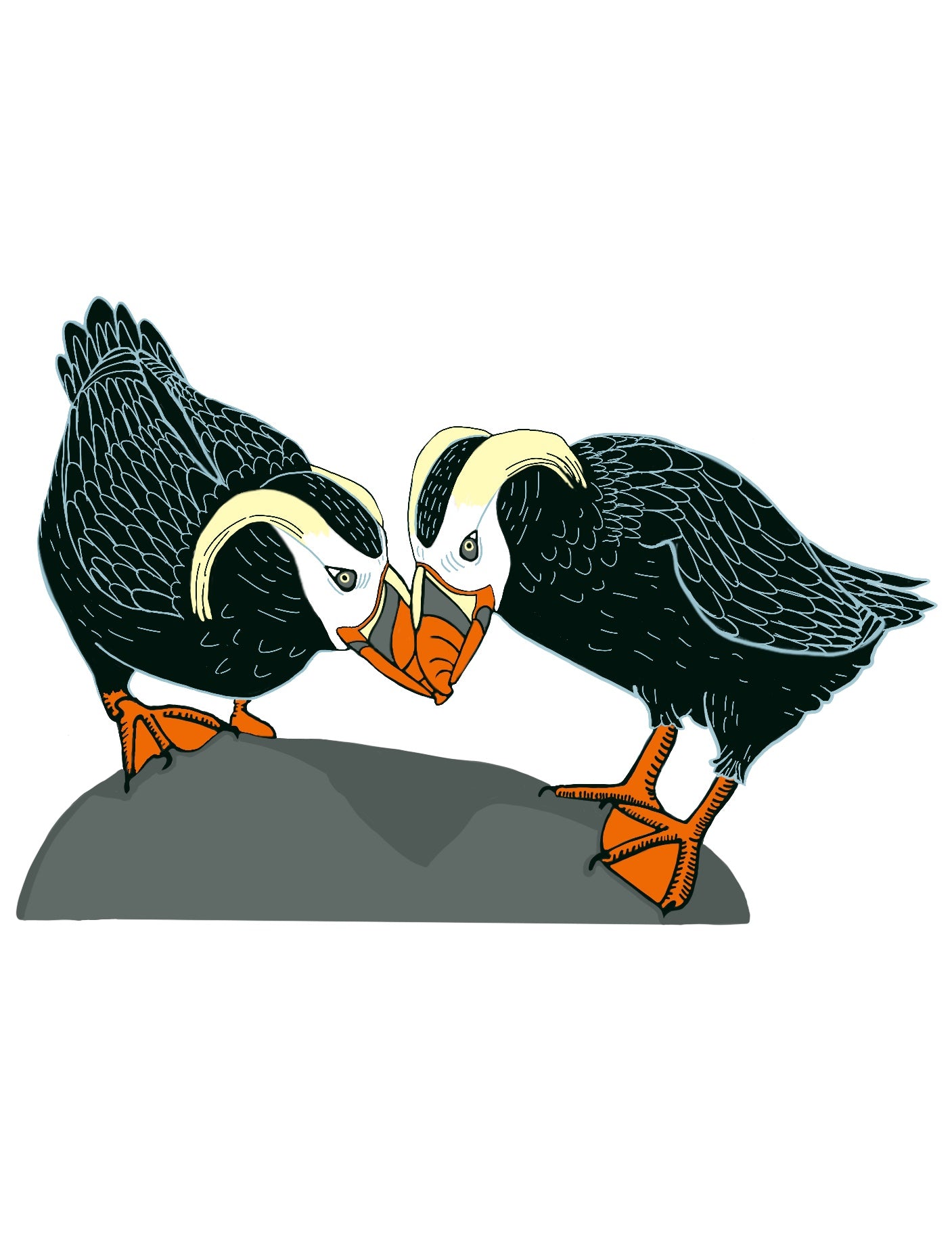 TUFTED PUFFIN PAIR vinyl sticker